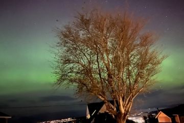 The Aurora Australis over Dunedin, New Zealand